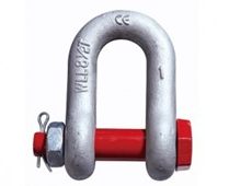 Bow Shackle Bolt Type with Safety Nut