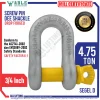 Screw Pin Dee Shackle ABLE SPD019 4.75Ton Main